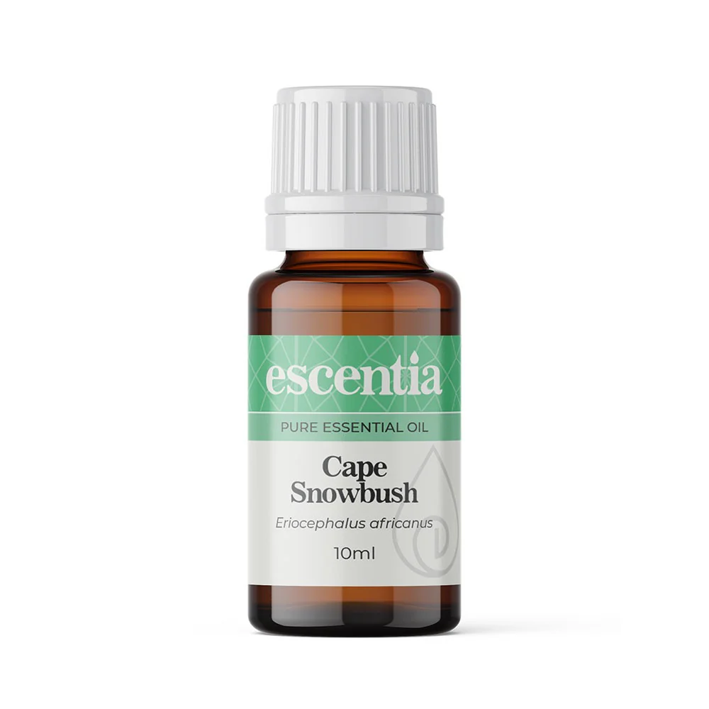 Escentia Cape Snowbush Essential Oil