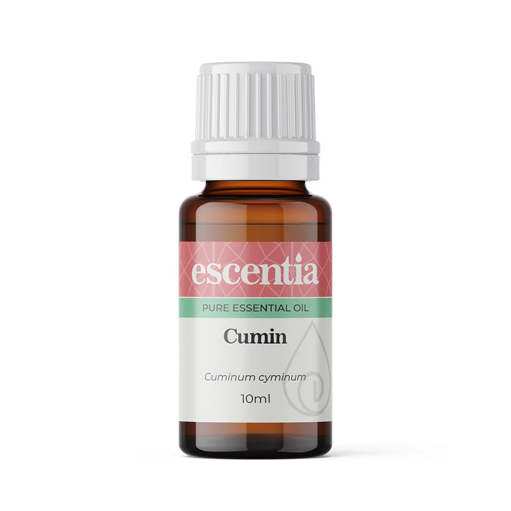 Escentia Cumin Essential Oil Cuminum cyminum