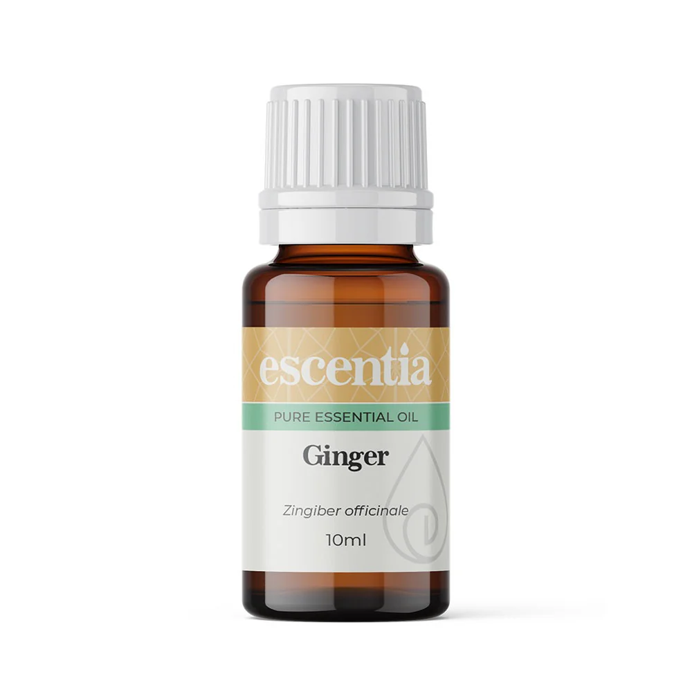 Escentia Ginger Essential Oil Zingiber officinale
