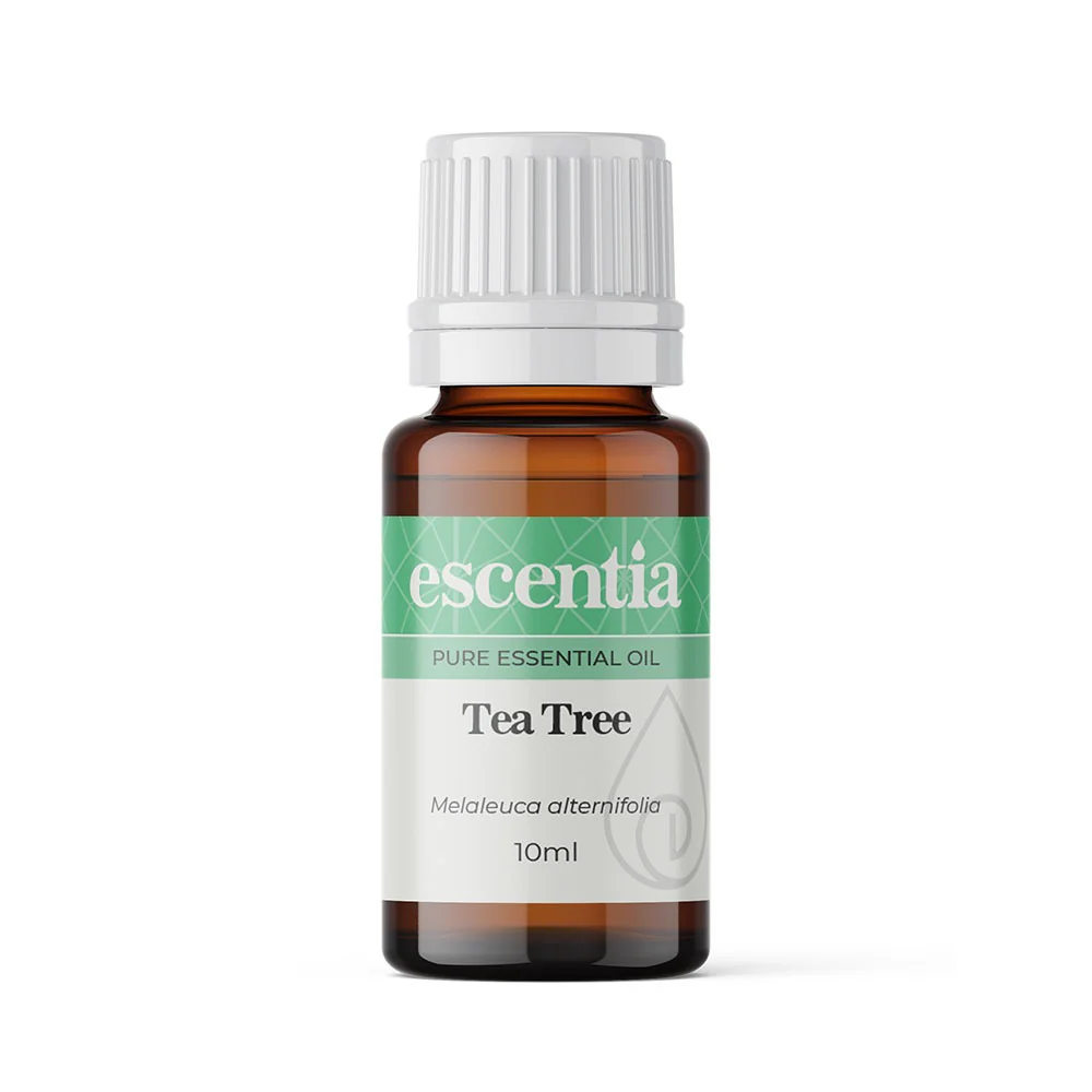 Escentia Tea Tree Essential Oil Melaleuca alternifolia