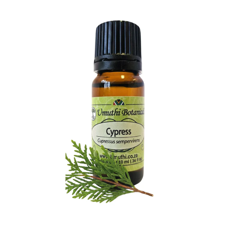 Umuthi Cypress (Cupressus sempervirens)