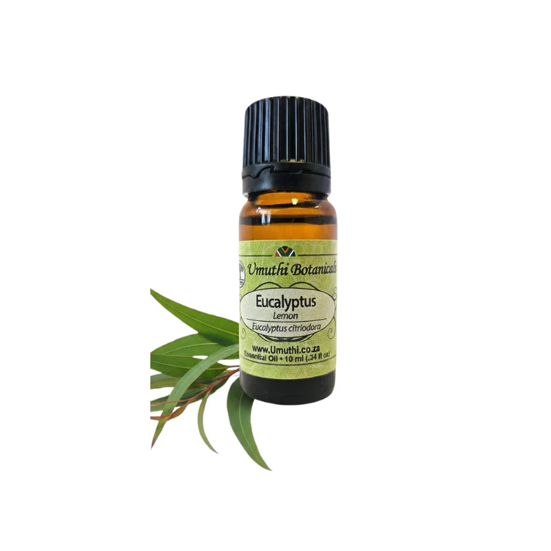 Umuthi Eucalyptus Lemon (Eucalyptus citriodora)