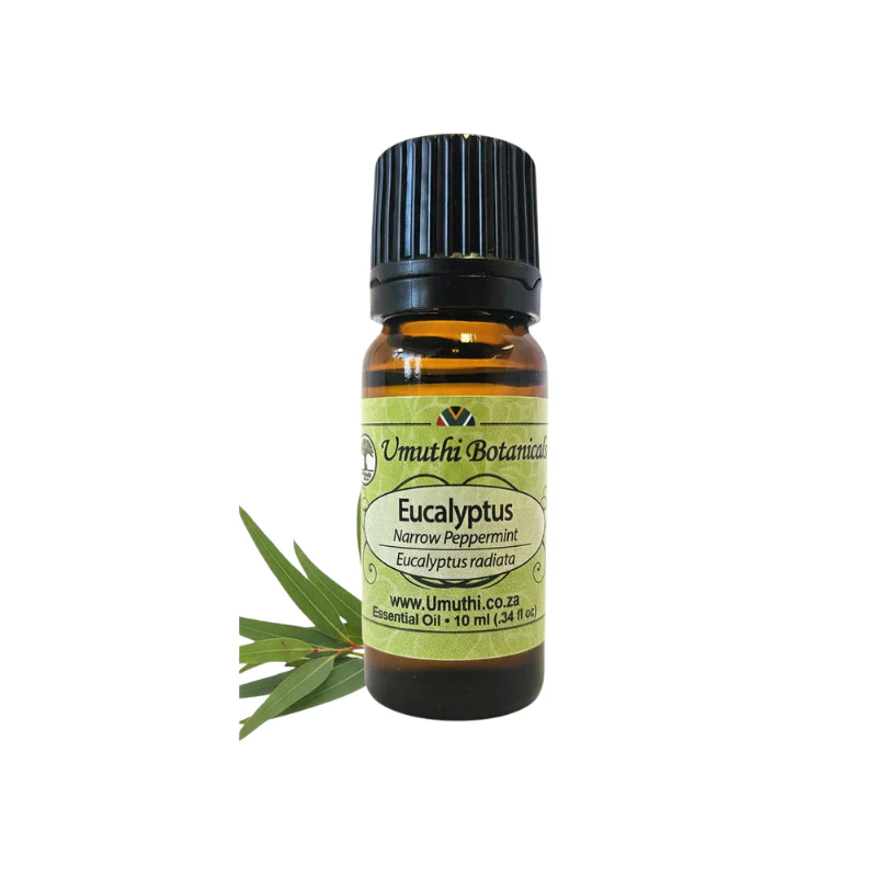 Umuthi Eucalyptus Narrow Peppermint (Eucalyptus radiata)